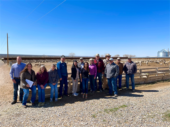 Rep. Boebert Meets with Woolgrowers